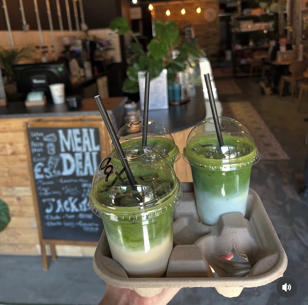 Steam & Bean Coffee House